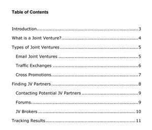 Master Joint Ventures